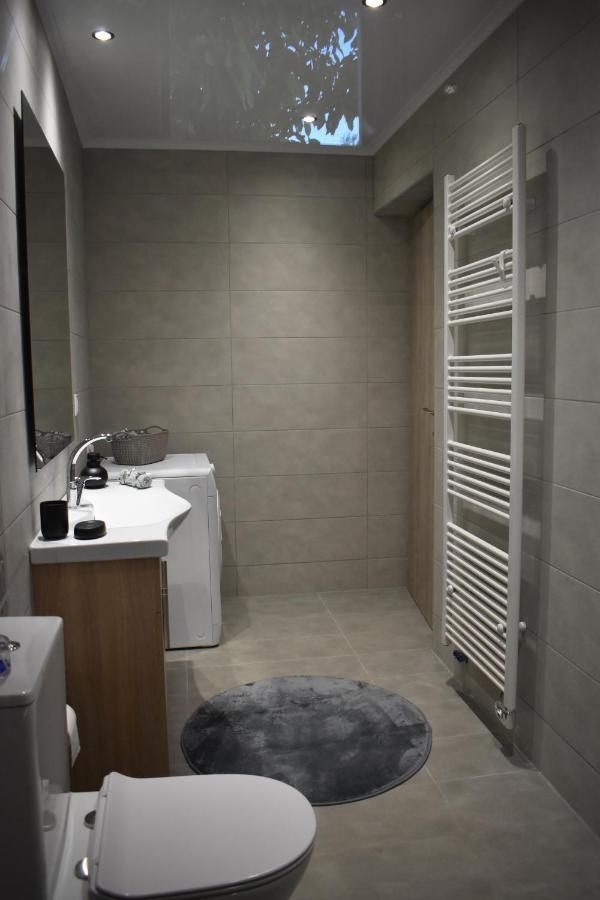 דירות Sfakianalion Athina'S Cozy House מראה חיצוני תמונה